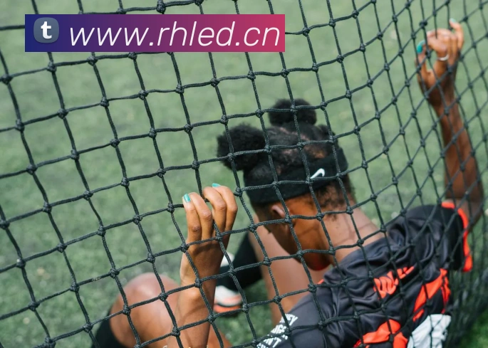 多媒体互动体验